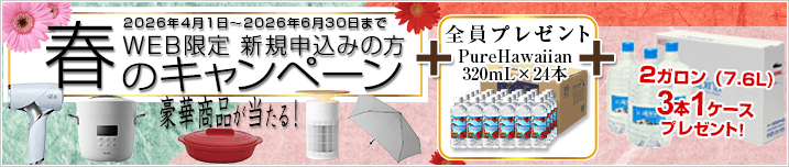 WEB限定 新規お申込みの方 春のキャンペーン! 期間:2026年4月1日~2026年6月30日
